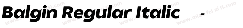 Balgin Regular Italic 语言英文字体转换
